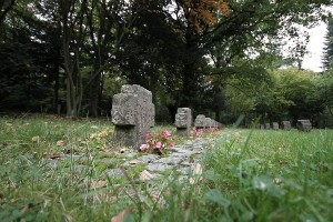 Friedhof Wehl (64)