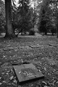 Friedhof Wehl (84)