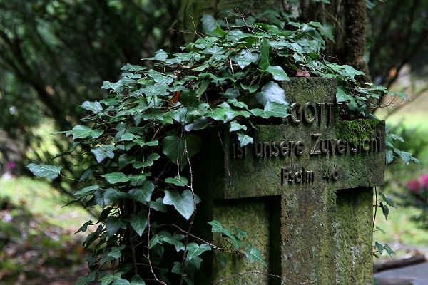 Friedhof Wehl (91)