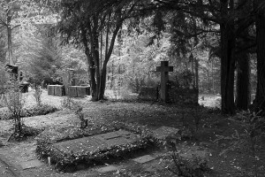 Friedhof Wehl (94)