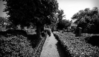 Friedhof_Lüdersen (2)