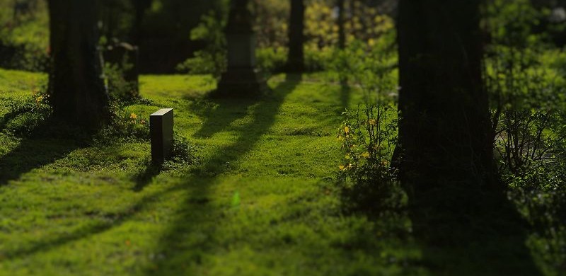 Hildesheim Johannisfriedhof (110)